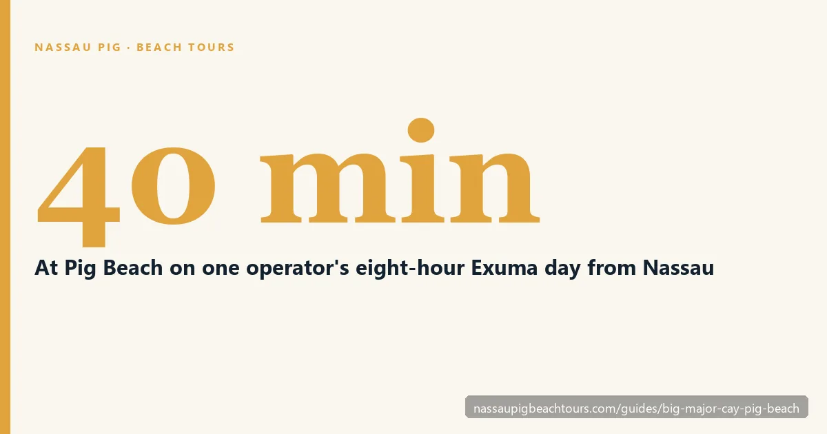 Forty minutes at Pig Beach on one operator's eight-hour Exuma day from Nassau