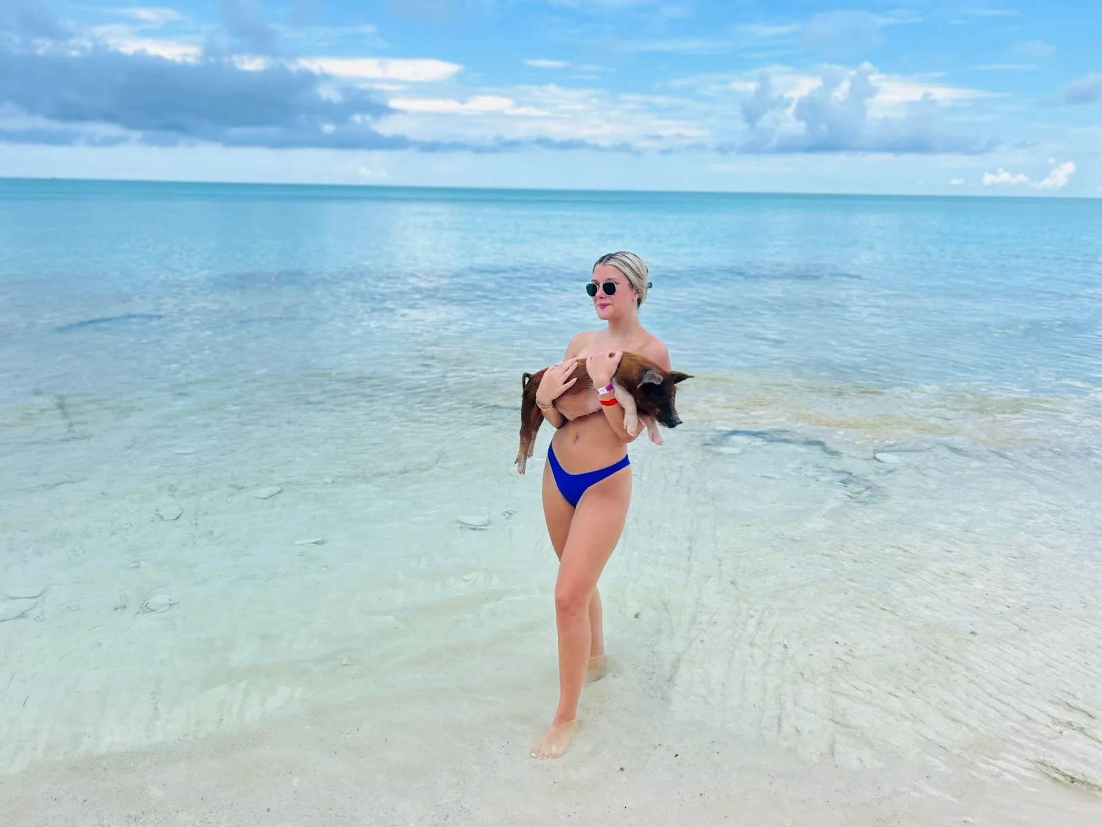 A visitor walking out of the shallows carrying a piglet on a wide Exuma sandbar