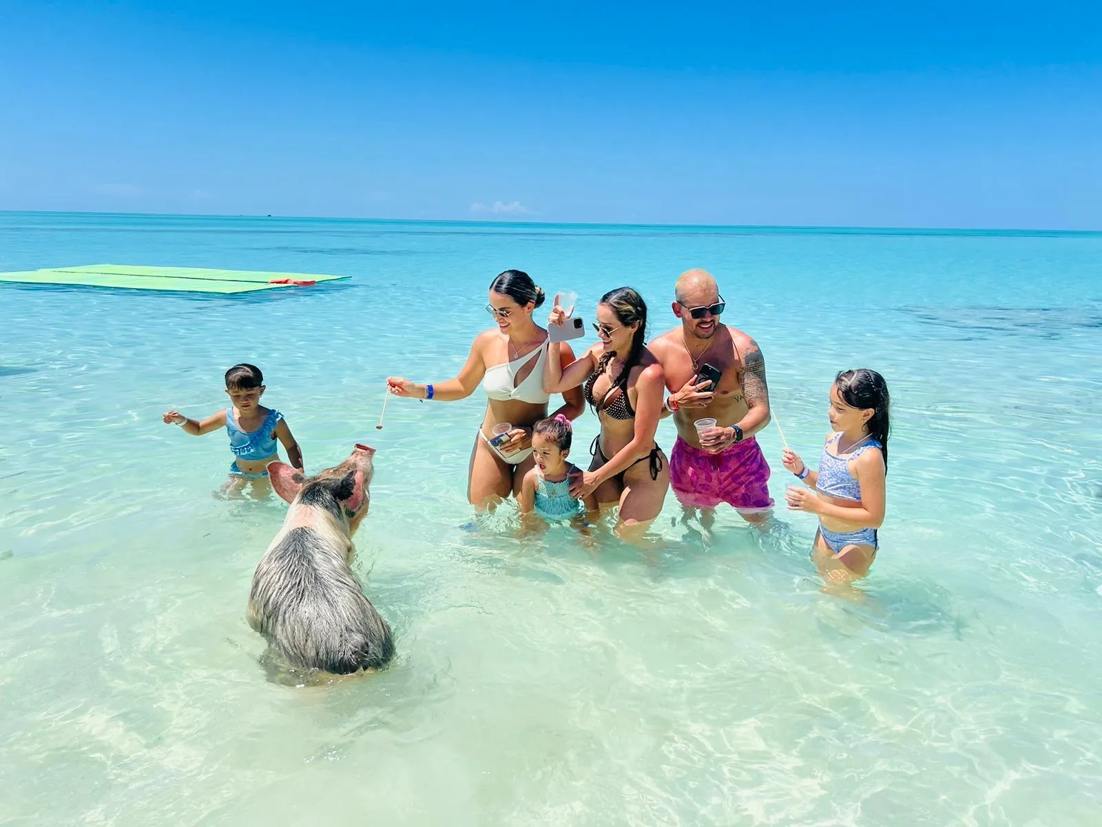 Nassau: Exuma Cays Swimming Pigs and Iguanas Tour