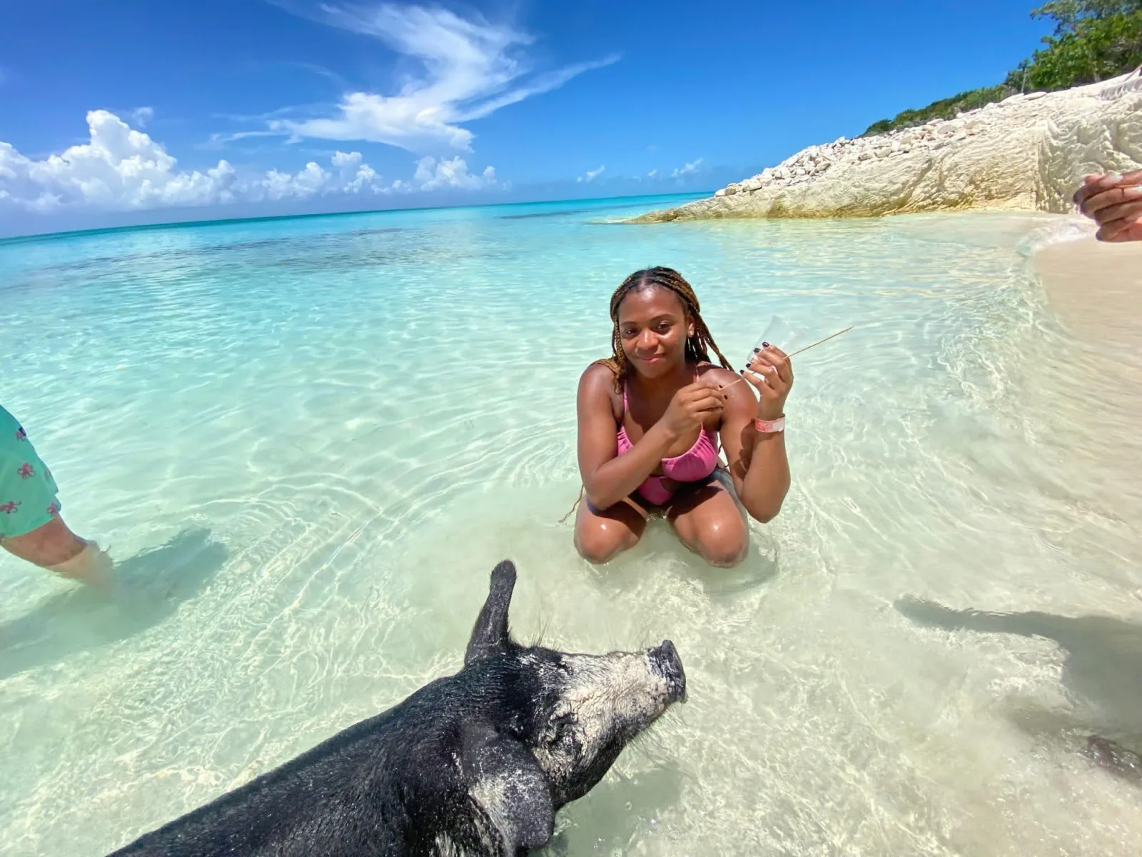 A visitor sitting in shallow turquoise water beside a dark swimming pig on the shoreline