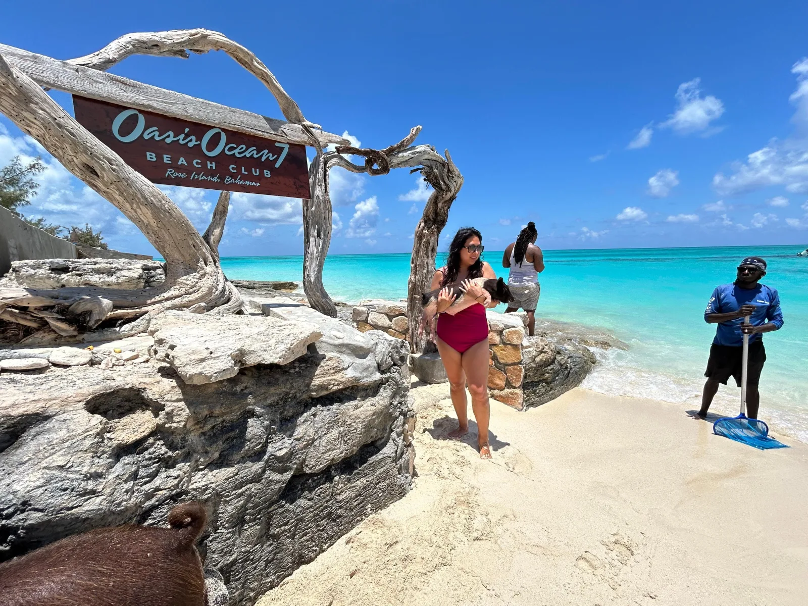 The carved Oasis Ocean 7 beach club sign on driftwood above the white sand