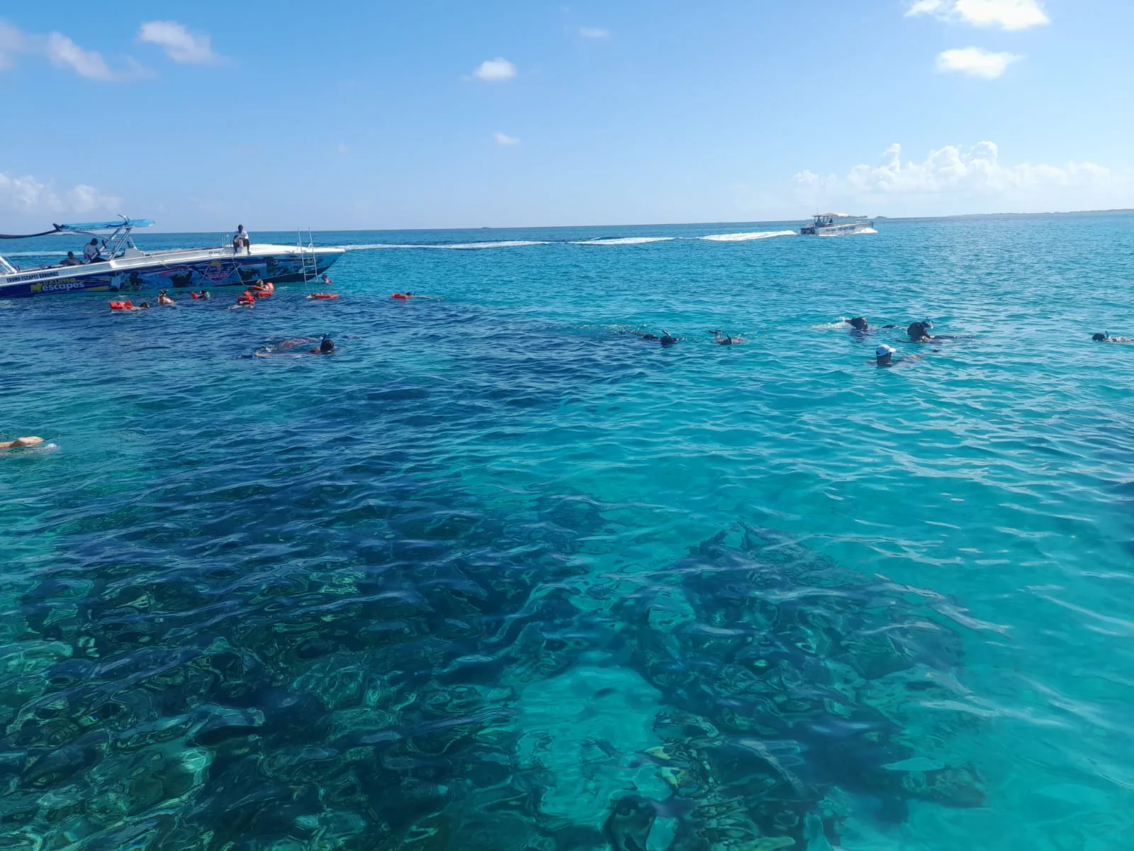 The private charter boat moored over the reef with snorkellers in the water around it