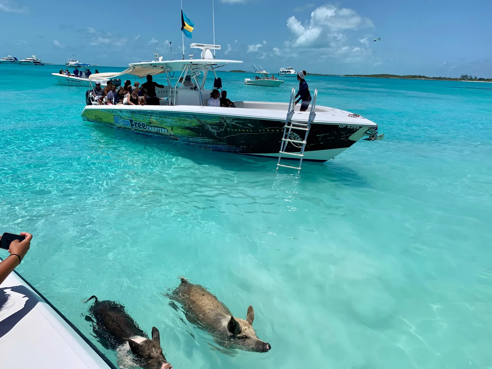 Nassau: Discover Exuma Island Hopping and Swimming Pigs Tour