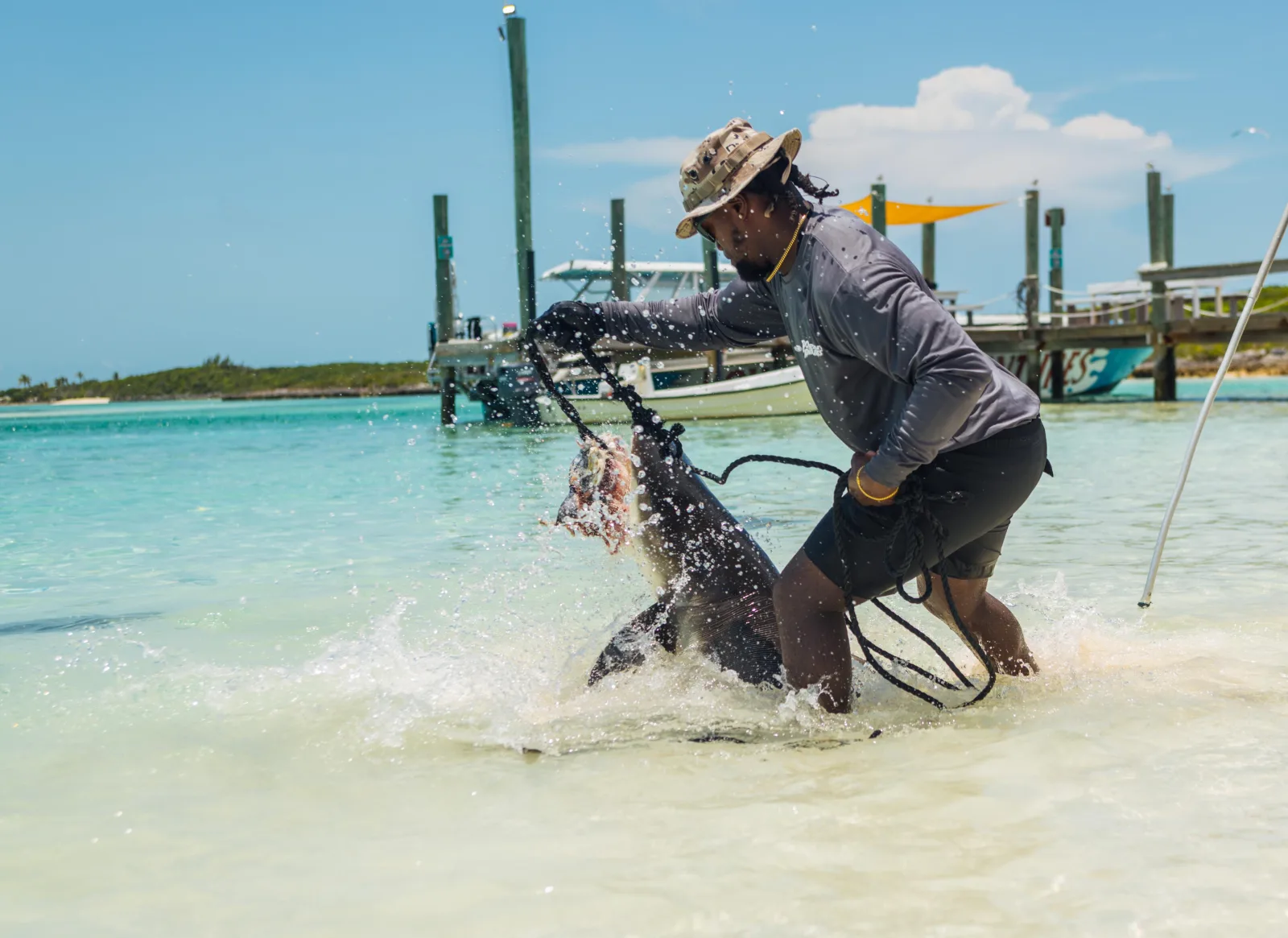 A crew member in the shallows beside the dock holding a ray during the feeding demonstration