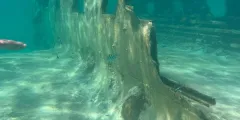 Guest photo from review