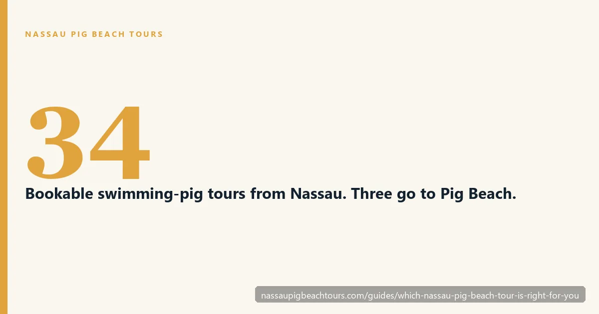 Thirty-four bookable swimming-pig tours leave Nassau, and only three reach Pig Beach